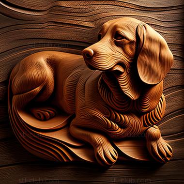 3D model st Dachshund dog (STL)